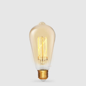 Squirrel Cage Carbon Filament 25w E27 - 240v Globe
